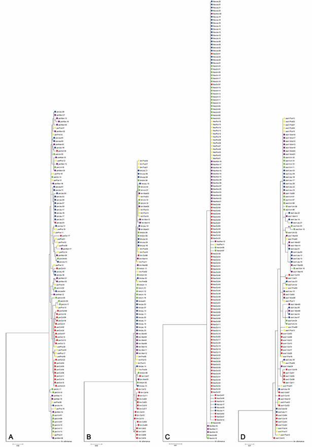 Molecular diversity of genes related to biological rhythms (period and timeless) and insecticide resistance (Na V and ace-1) in Anopheles darlingi.