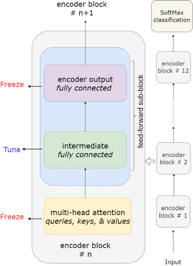 A transformer fine-tuning strategy for text dialect identification.