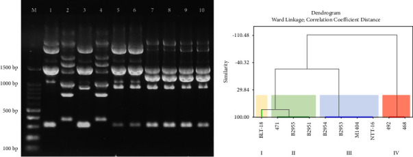 Morphology, Biochemical, and Molecular Characterization of <i>Pasteurella multocida</i> Causing Hemorrhagic Septicemia in Indonesia.