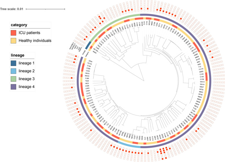 A comparative study of intestinal <i>Pseudomonas aeruginosa</i> in healthy individuals and ICU inpatients.