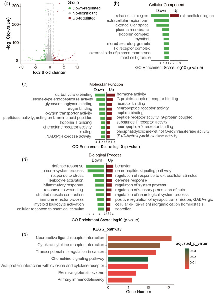 Transcriptome analysis reveals dysregulation of inflammatory and neuronal function in dorsal root ganglion of paclitaxel-induced peripheral neuropathy rats.