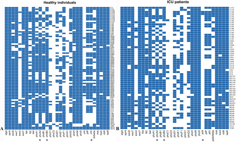 A comparative study of intestinal <i>Pseudomonas aeruginosa</i> in healthy individuals and ICU inpatients.