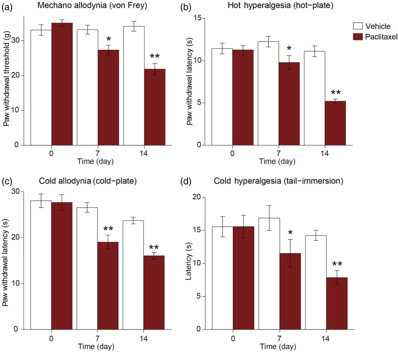 Transcriptome analysis reveals dysregulation of inflammatory and neuronal function in dorsal root ganglion of paclitaxel-induced peripheral neuropathy rats.