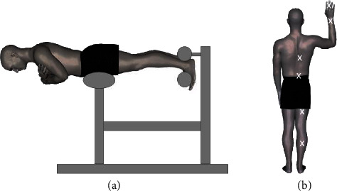 The Effect of Spinal Muscle Fatigue and Psychosocial Factors on Pressure-Pain Threshold in Healthy Adults.