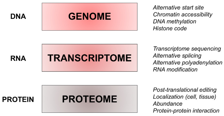 The Need for Biomarkers in the ALS-FTD Spectrum: A Clinical Point of View on the Role of Proteomics.