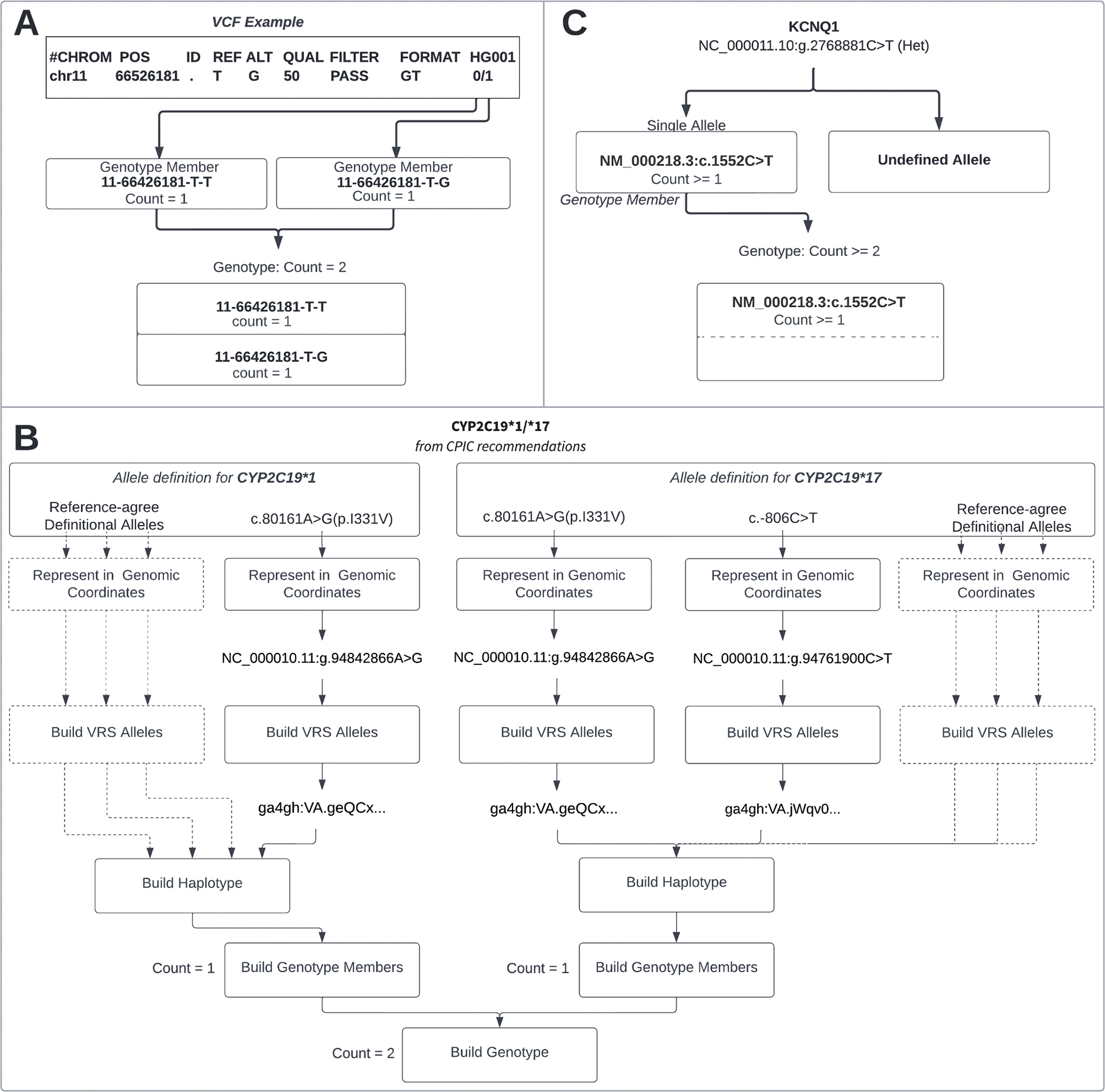 Development and application of a computable genotype model in the GA4GH Variation Representation Specification.