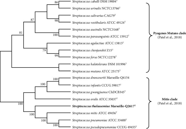 Description of <i>Streptococcus thalassemiae</i> sp. nov., a Bacterium Isolated from Human Blood.