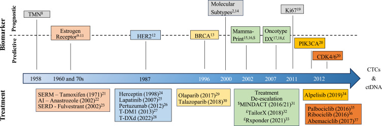 "Diagnostic and Prognostic Biomarkers of Luminal Breast Cancer: Where are We Now?"