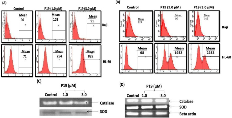 P19 a Parthenin Analog Induces Cell Lineage Dependent Apoptotic and Immunomodulatory Signaling in Acute Lymphoid Leukemia Cells.