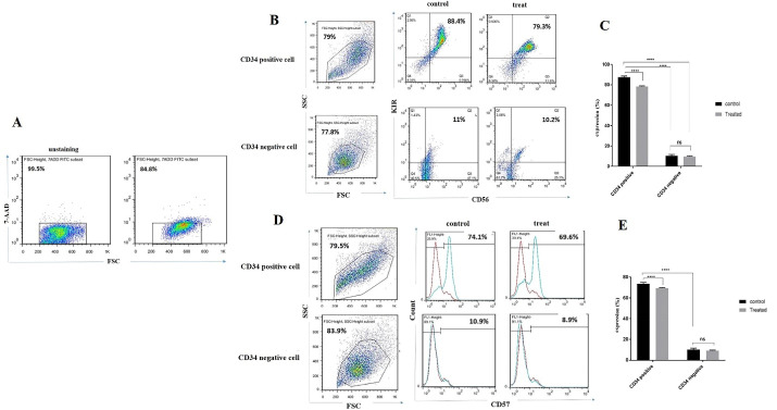 The Effect of Telomerase Inhibition on NK Cell Activity in Acute Myeloid Leukemia.