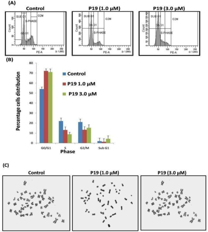 P19 a Parthenin Analog Induces Cell Lineage Dependent Apoptotic and Immunomodulatory Signaling in Acute Lymphoid Leukemia Cells.