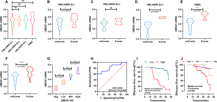 Validation of a Disease-Free Survival Prediction Model Using UBE2C and Clinical Indicators in Breast Cancer Patients.