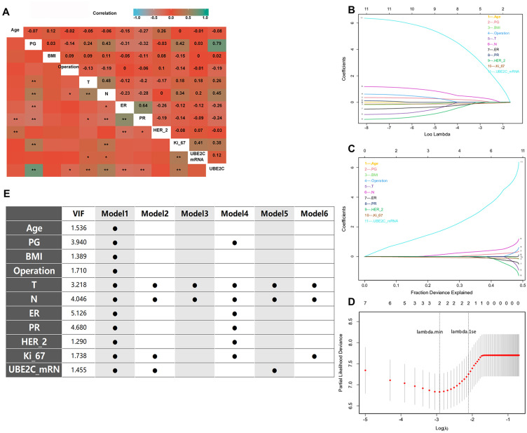 Validation of a Disease-Free Survival Prediction Model Using UBE2C and Clinical Indicators in Breast Cancer Patients.