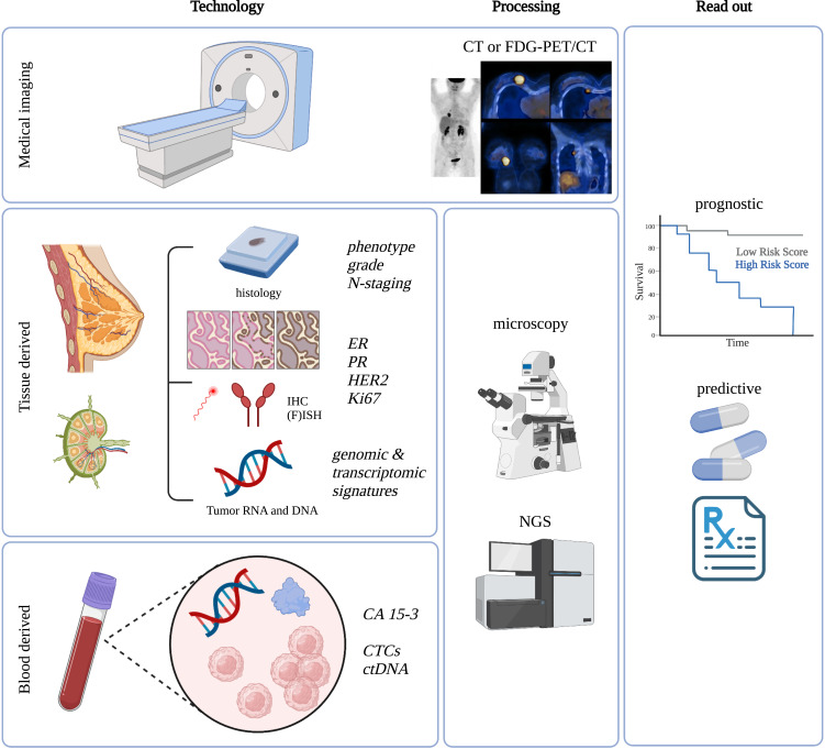 "Diagnostic and Prognostic Biomarkers of Luminal Breast Cancer: Where are We Now?"