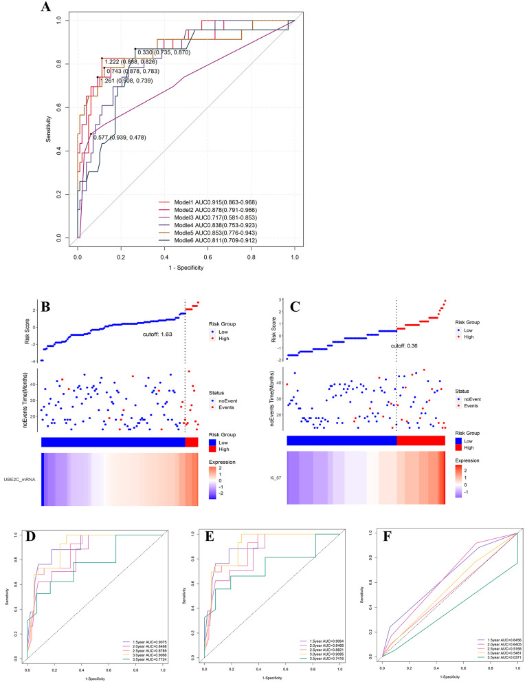 Validation of a Disease-Free Survival Prediction Model Using UBE2C and Clinical Indicators in Breast Cancer Patients.