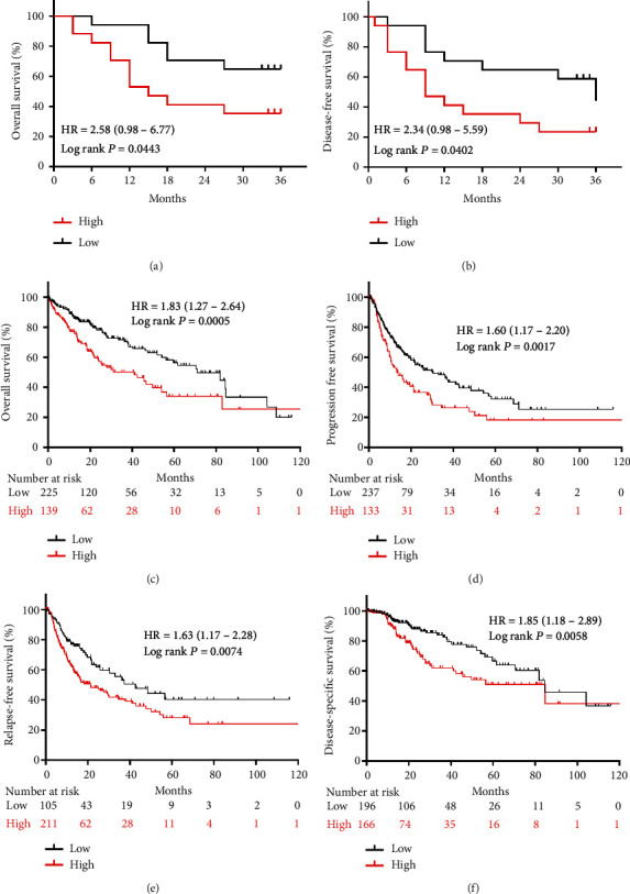 Stratifin Promotes Hepatocellular Carcinoma Progression by Modulating the Wnt/<i>β</i>-Catenin Pathway.