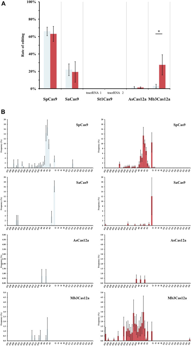 Editing efficiencies with Cas9 orthologs, Cas12a endonucleases, and temperature in rice.