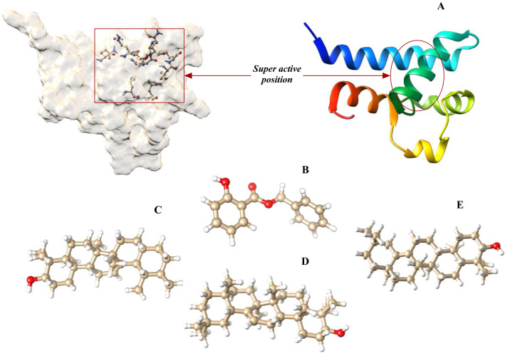 Target-specificity of different amyrin subunits in impeding HCV influx mechanism inside the human cells considering the quantum tunnel profiles and molecular strings of the CD81 receptor: a combined in silico and in vivo study.