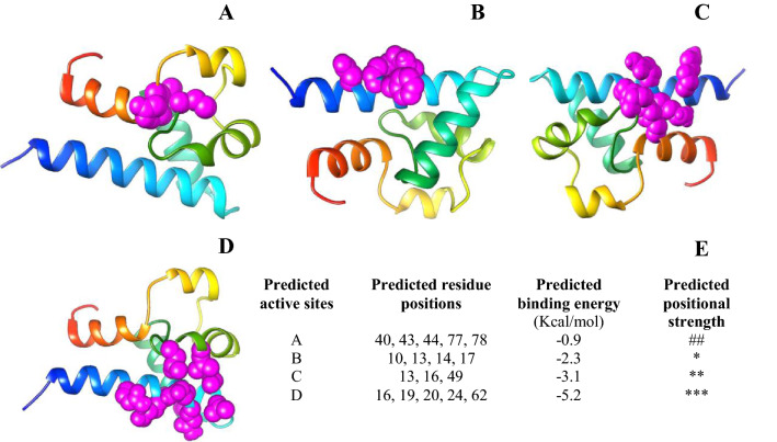 Target-specificity of different amyrin subunits in impeding HCV influx mechanism inside the human cells considering the quantum tunnel profiles and molecular strings of the CD81 receptor: a combined in silico and in vivo study.