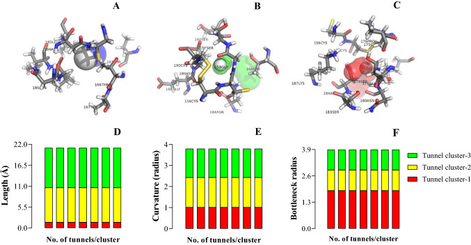 Target-specificity of different amyrin subunits in impeding HCV influx mechanism inside the human cells considering the quantum tunnel profiles and molecular strings of the CD81 receptor: a combined in silico and in vivo study.