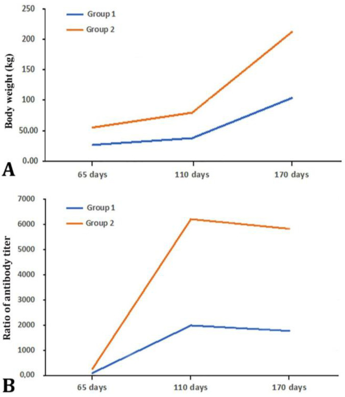 Evaluation of porcine circovirus type 2 double vaccination in weaning piglets that reared for gilts under field conditions.