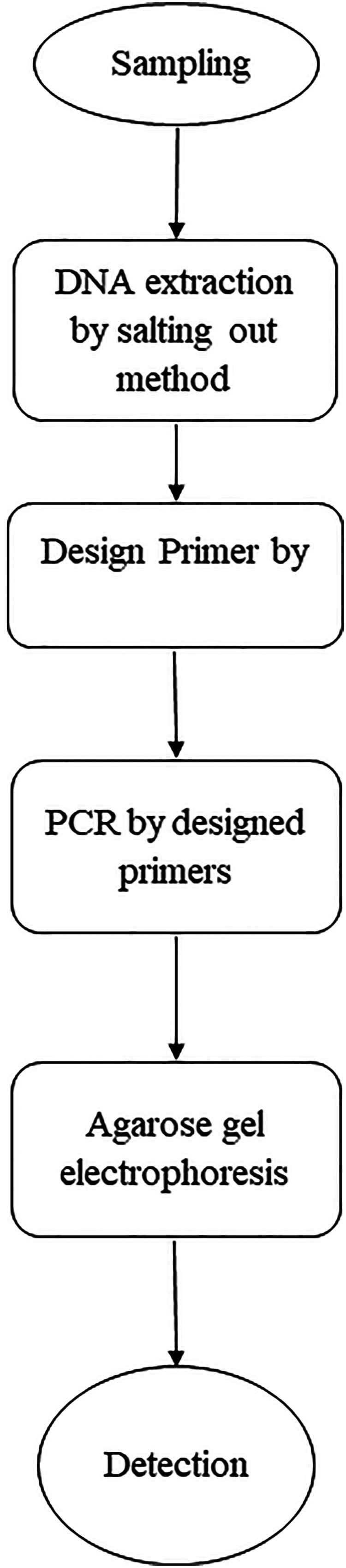 Association of ANRIL Gene Single-Nucleotide Polymorphisms With Allergic Rhinitis in Kurdish Population From Kermanshah, Iran.