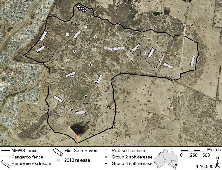 Mini Safe Havens for population recovery and reintroductions 'beyond-the-fence'.