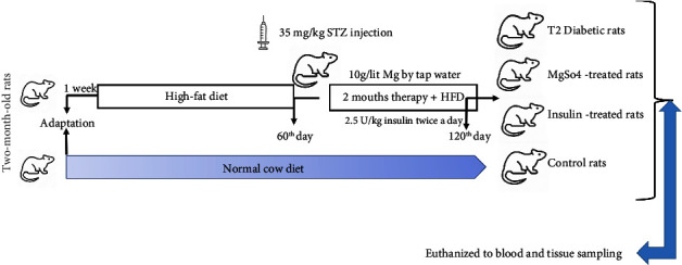 Changes in Protease-Activated Receptor and Trypsin-1 Expression Are Involved in the Therapeutic Effect of Mg<sup>2+</sup> Supplementation in Type 2 Diabetes-Induced Gastric Injury in Male Adult Rats.