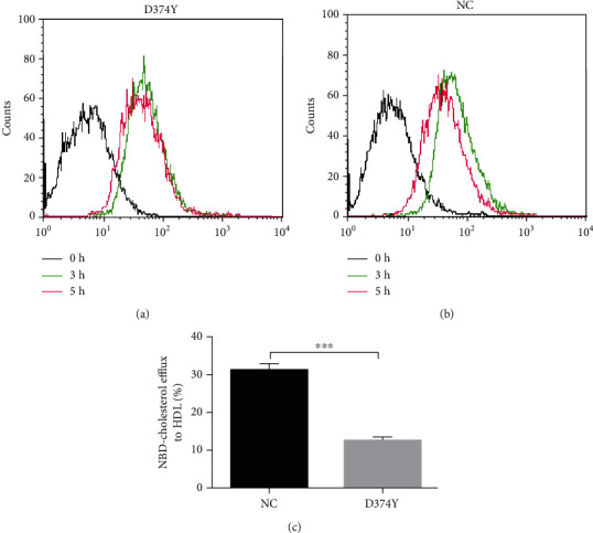 <i>PCSK9-</i>D374Y Suppresses Hepatocyte Migration through Downregulating Free Cholesterol Efflux Rate and Activity of Extracellular Signal-Regulated Kinase.