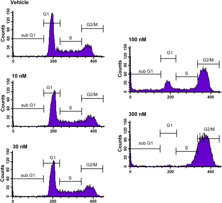 CVM-1118 (foslinanib), a 2-phenyl-4-quinolone derivative, promotes apoptosis and inhibits vasculogenic mimicry via targeting TRAP1.