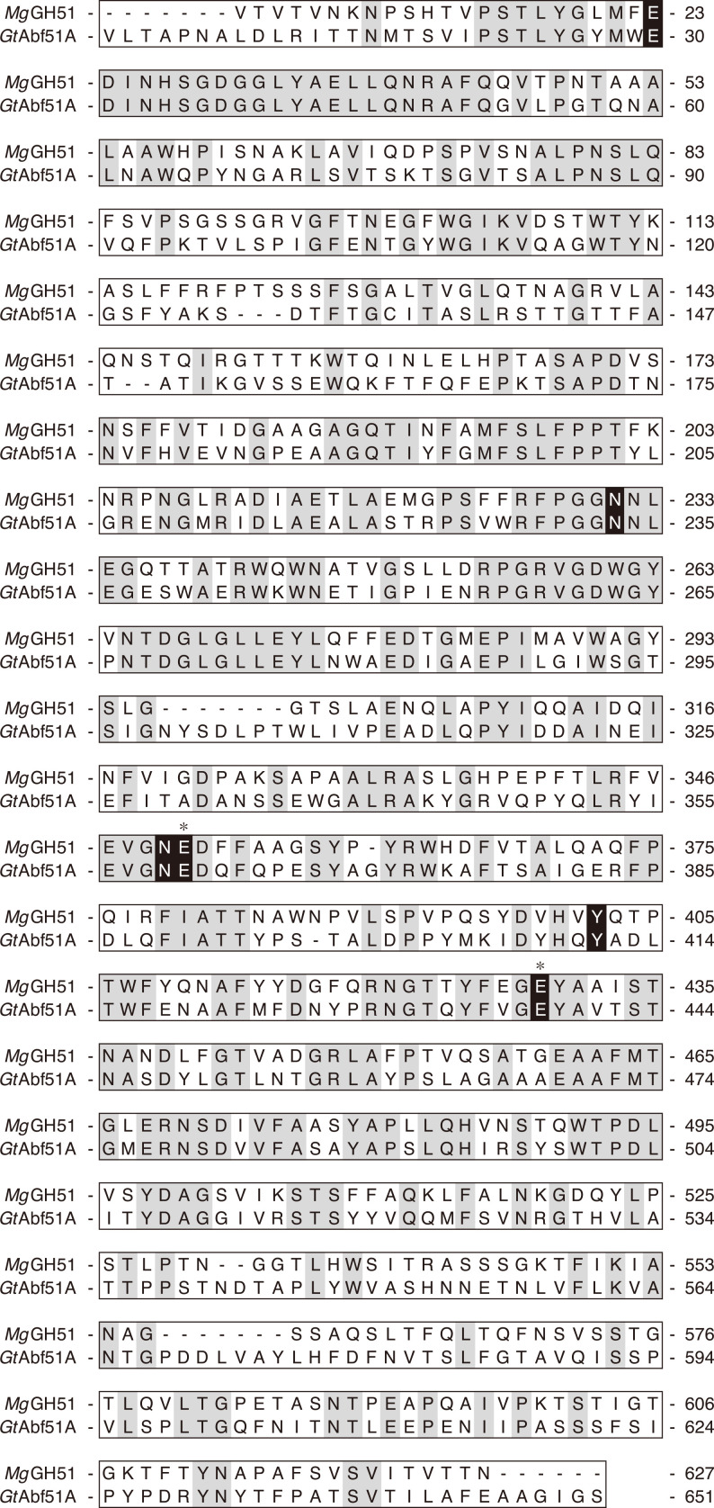 Characterization of an α-L-Arabinofuranosidase GH51 from the Brown-rot Fungus <i>Gloeophyllum trabeum</i>.