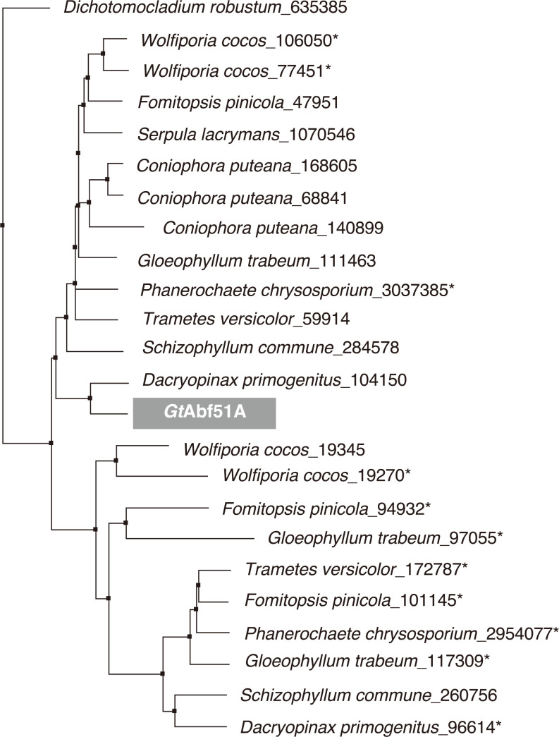 Characterization of an α-L-Arabinofuranosidase GH51 from the Brown-rot Fungus <i>Gloeophyllum trabeum</i>.