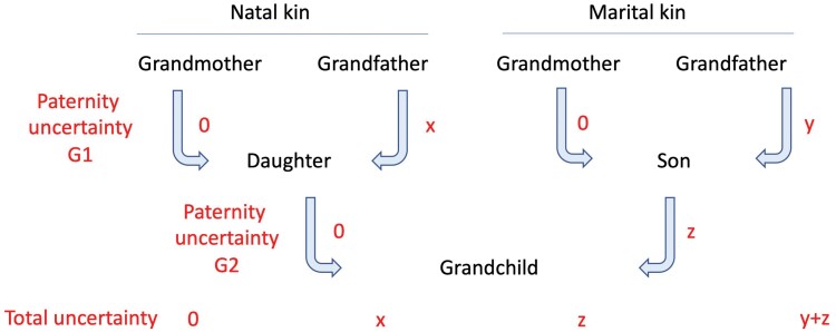 Maternal mental health and economic autonomy in lowland rural Nepal: Do parents-in-law provide constraint or support?