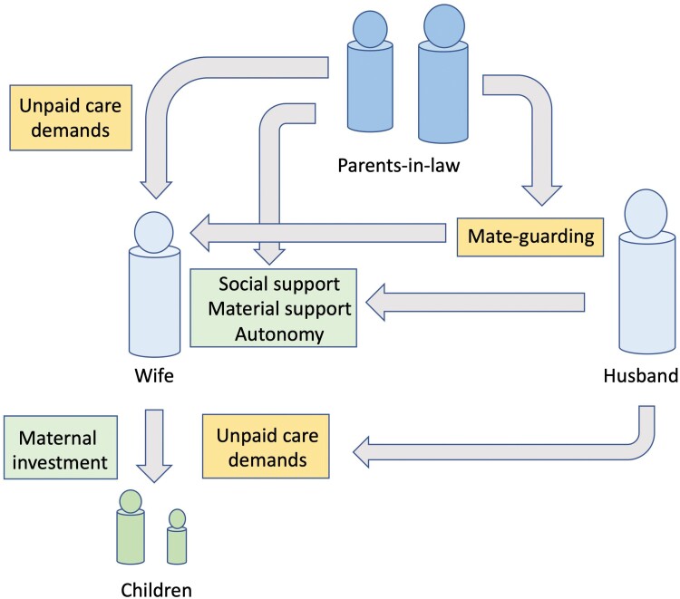 Maternal mental health and economic autonomy in lowland rural Nepal: Do parents-in-law provide constraint or support?