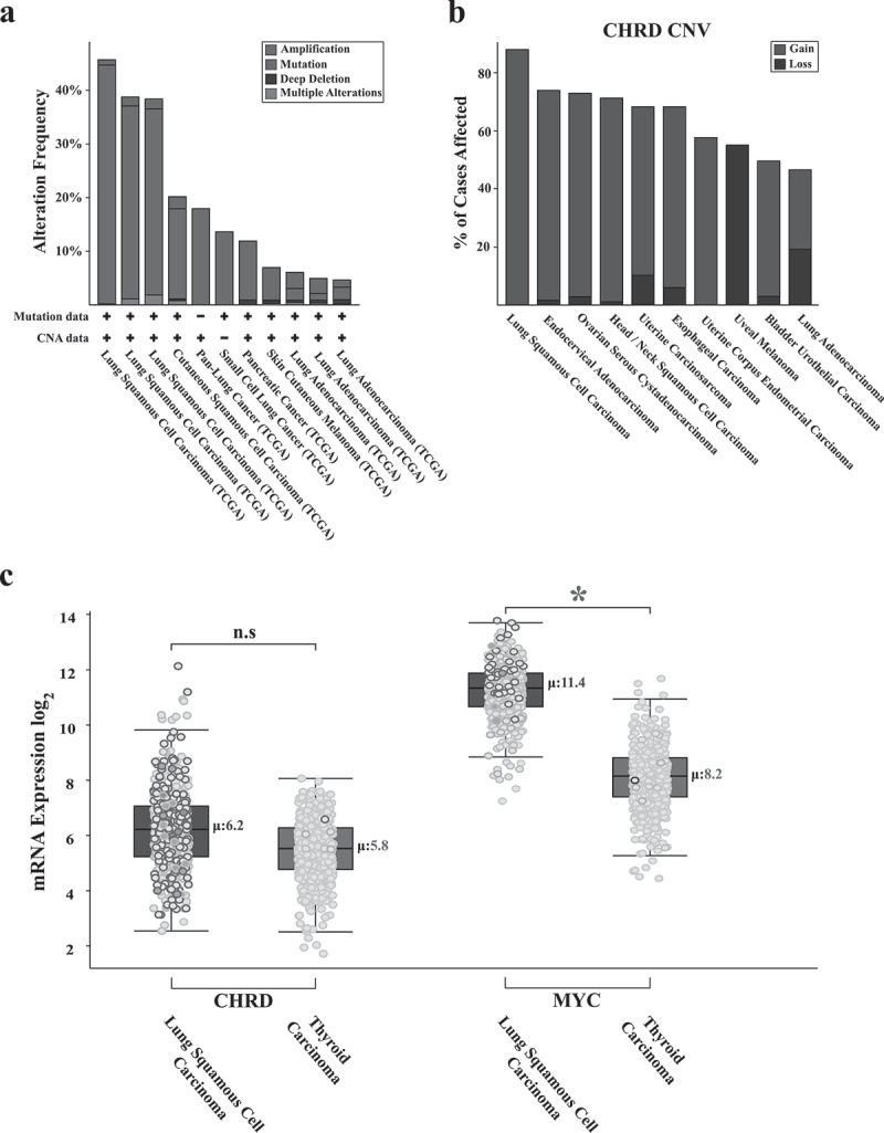 The developmental gene Chordin is amplified and expressed in human cancers.