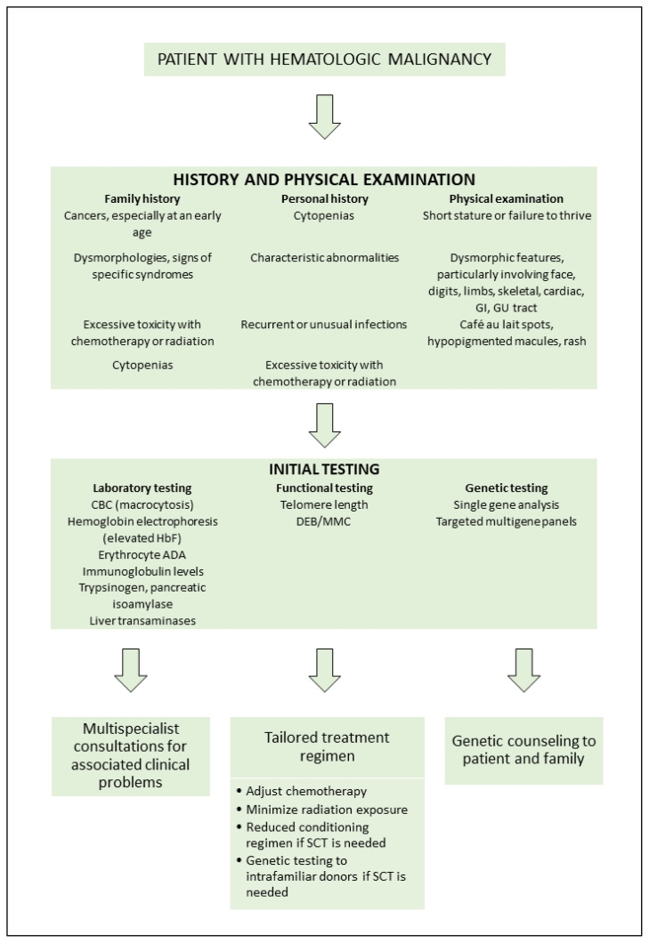 Genetic Predisposition to Hematologic Malignancies in Childhood and Adolescence.