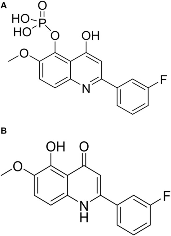 CVM-1118 (foslinanib), a 2-phenyl-4-quinolone derivative, promotes apoptosis and inhibits vasculogenic mimicry via targeting TRAP1.