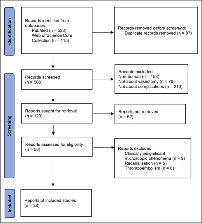 Review of vasocutaneous fistulas and other rare complications after vasectomy.