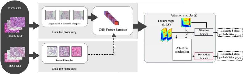 An interpretable decision-support model for breast cancer diagnosis using histopathology images