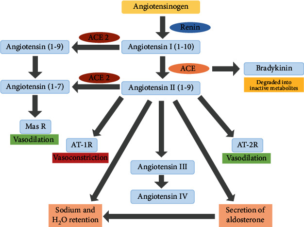 Angiotensin-Converting Enzyme and Hypertension: A Systemic Analysis of Various ACE Inhibitors, Their Side Effects, and Bioactive Peptides as a Putative Therapy for Hypertension.