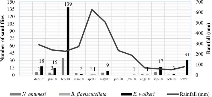 Phlebotomine sand flies (Psychodidae: Phlebotominae) in an area of canine infection caused by Leishmania infantum in the state of Amapá, eastern Amazon.