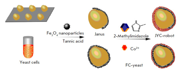 Biomedical Nanosystems for In Vivo Detoxification: From Passive Delivery Systems to Functional Nanodevices and Nanorobots.