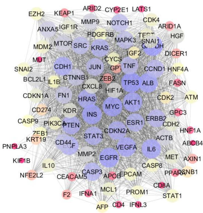 Network analysis of liver cancer: a system biology approach.