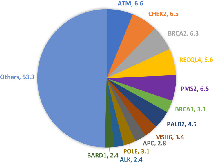 Guideline-Based, Multi-Gene Panel Germline Genetic Testing for at-Risk Patients with Breast Cancer.