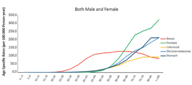 Socioeconomic Inequalities in Cancer Incidence: A Comparative Investigation Based on Population of Iranian Provinces.