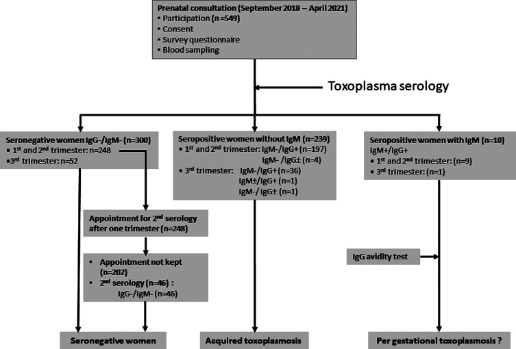 Seroepidemiology of toxoplasmosis in pregnant women and detection of infection acquired during pregnancy in Cotonou, Benin.