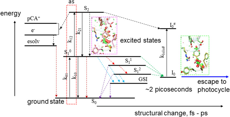 Biological function investigated by time-resolved structure determination.