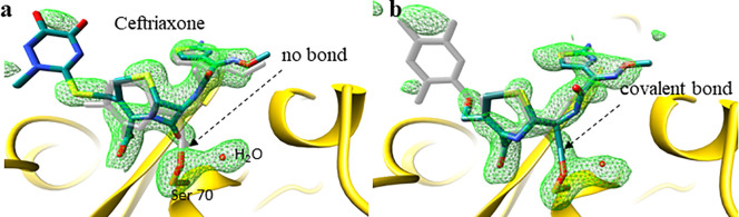 Biological function investigated by time-resolved structure determination.