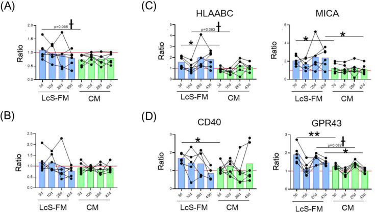 Diverse impact of a probiotic strain, <i>Lacticaseibacillus paracasei</i> Shirota, on peripheral mononuclear phagocytic cells in healthy Japanese office workers: a randomized, double-blind, controlled trial.