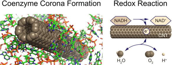 What is Aromaphilicity?